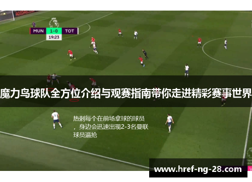 魔力鸟球队全方位介绍与观赛指南带你走进精彩赛事世界