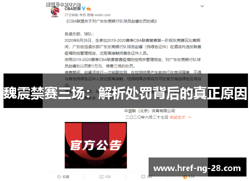 魏震禁赛三场:解析处罚背后的真正原因 魏震禁赛三场:解析处罚背后的真正原因