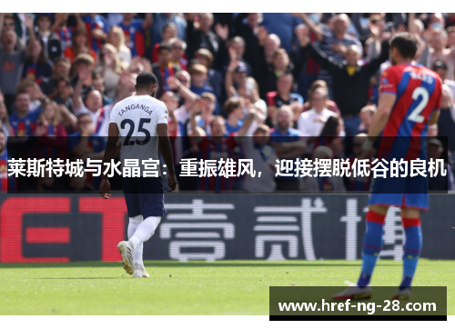 莱斯特城与水晶宫：重振雄风，迎接摆脱低谷的良机