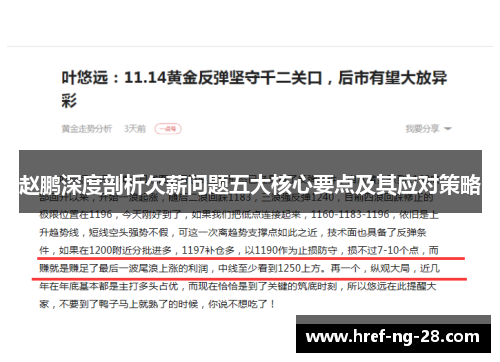 赵鹏深度剖析欠薪问题五大核心要点及其应对策略 赵鹏深度剖析欠薪问题五大核心要点及其应对策略