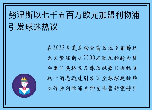 努涅斯以七千五百万欧元加盟利物浦引发球迷热议